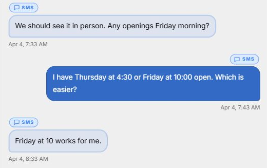 Actual demo conversation in Tykuno showing a Friday viewing request and preferred time.